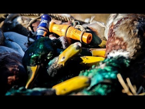 Caccia agli anatidi d’Inverno