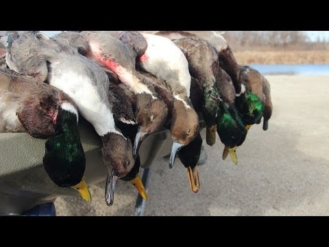 Duck Hunting Public Land: Stacked Against Us – Fowled Reality