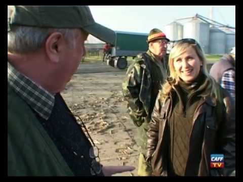 Caccia alla Lepre in battuta in Ungheria