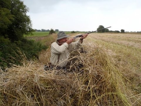 Caccia al Colombaccio in Irlanda