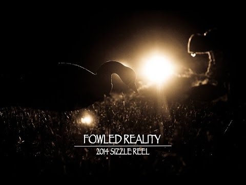 Caccia ad Oche ed Anatre