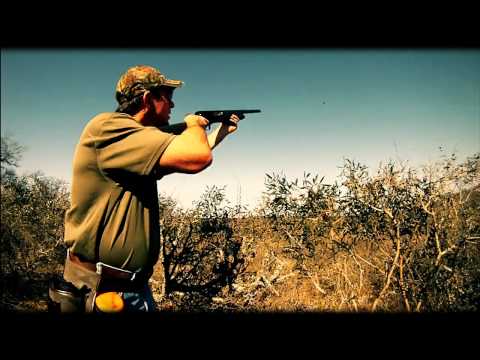 Browning A5.. Emozionanti macchine da caccia..