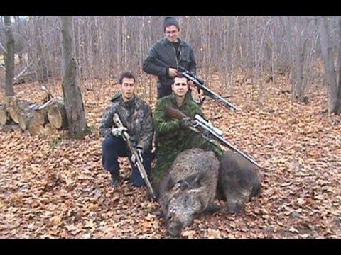 Caccia al cinghiale nelle Marche – Arquata del Tronto
