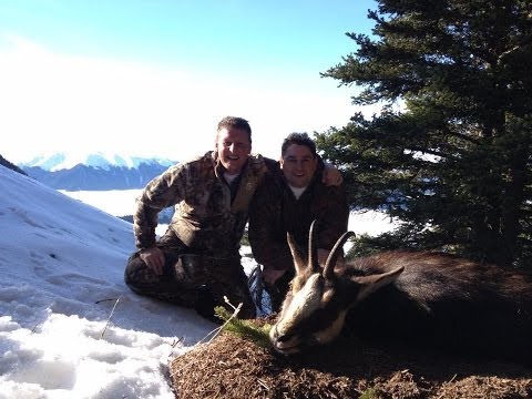 Caccia a Chamois Alpi Francesi
