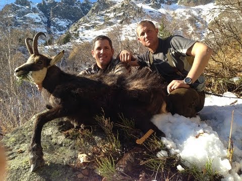Caccia al Camoscio in Francia