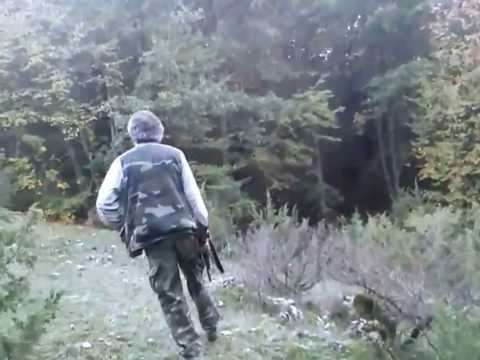 Caccia alla Beccaccia con Setter Inglese 2013-14