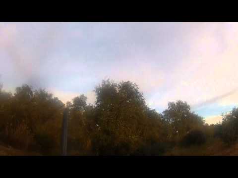 Caccia ai Tordi in Spagna