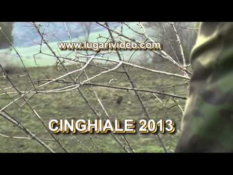 Cinghiale 2013: Caccia al cinghiale con Lugari video