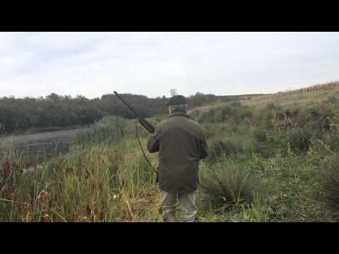 Caccia alle Alzavole in Romania