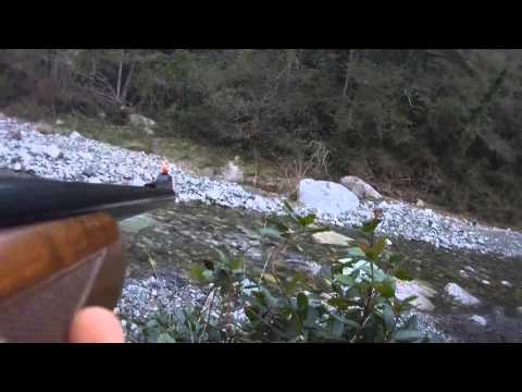 Caccia al cinghiale e cacciatori alle prese con il Re del bosco..