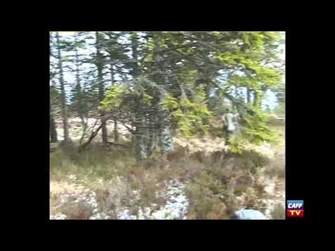 Caccia alla Beccaccia in Scozia – 2° ep