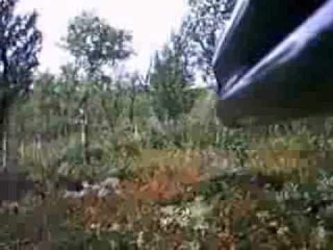 Caccia alle Pernici in Lapponia