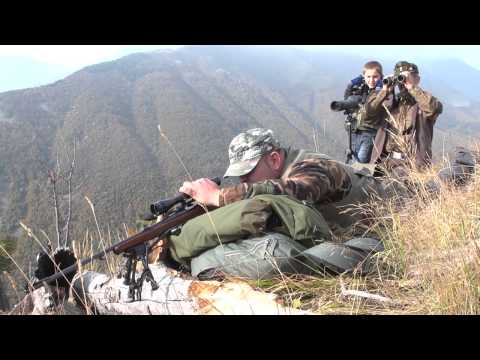 Video di caccia alpina di selezione al camoscio