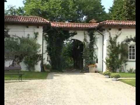 Cani da Caccia: Segugi d’oltralpe – Prima Parte