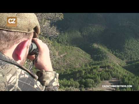Caccia al Cervo in Spagna