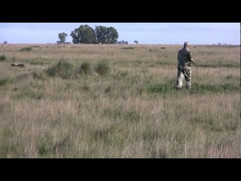 Caccia alla Pernice Rossa e alla Lepre