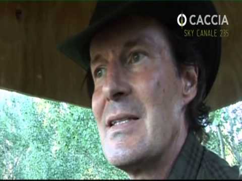 Caccia al cinghiale nell\’Oltrepo Pavese