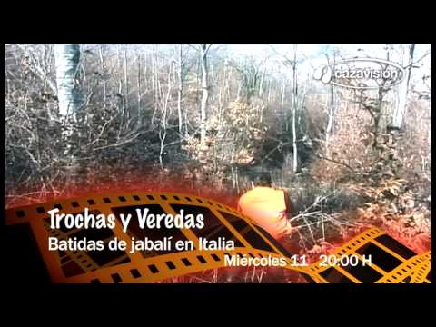 Caccia al Cinghiale in battuta