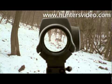 La Caccia al Cinghiale