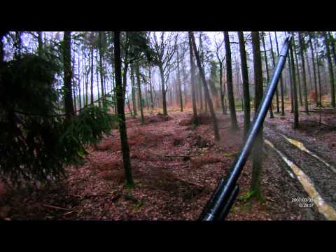 Caccia al Cinghiale da appostamento