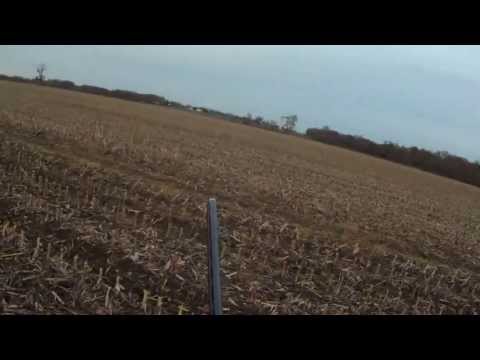 Beccacce Beccaccini e…Lepre!