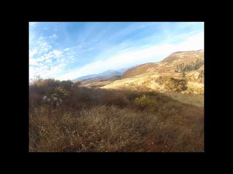 Caccia alla Pernice in Perù