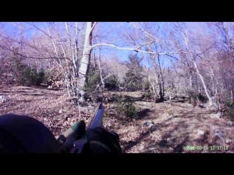 Caccia al Cinghiale con Marlin .450