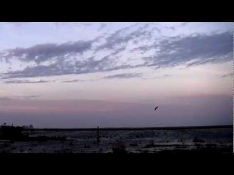 Caccia alle Anatre in Argentina 2012