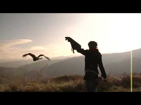 La Falconeria di Gherardo Brami