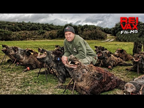 Caccia al Cinghiale in Francia