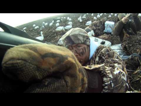 Caccia all’Oca delle nevi: l’importanza dello scouting – Snow Goose Hunting: Scouting