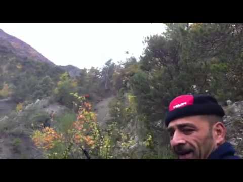 Caccia al Cinghiale in Corsica