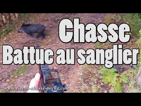 Caccia al Cinghiale in battuta