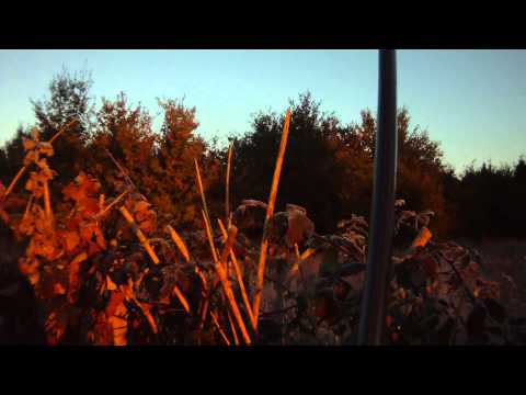 Caccia al Tordo allo Spollo