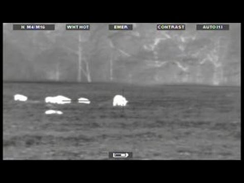 Caccia al Cinghiale in Georgia con sistemi Jager Pro Style