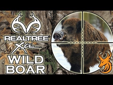 Caccia Grossa in Repubblica Ceca