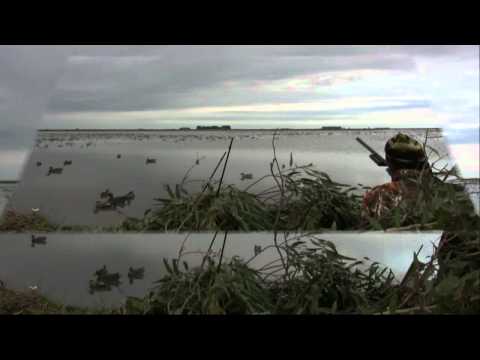 Caccia alle Anatre in Laguna