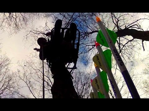 Caccia al Cervo con l’Arco