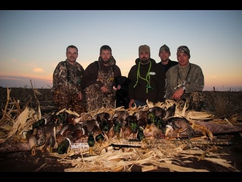 Caccia alle Anatre al campo in Nord Dakota