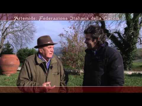 Caccia e Falconeria a Rotella (AP)