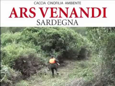 Caccia al Cinghiale a Narbolia