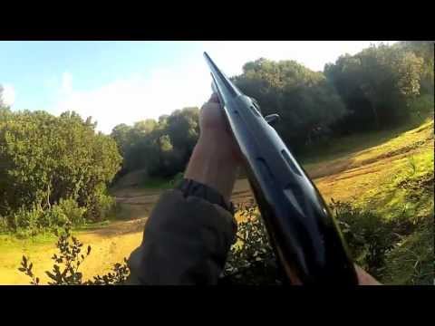 Caccia ai Tordi in Corsica