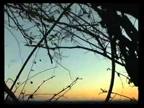 Caccia alle Oche in Ungheria – 2a parte