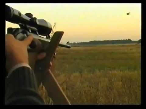 Caccia al Capriolo in Ungheria – 5a parte