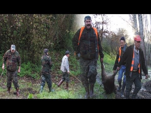 Caccia al Cinghiale – Tracciatura