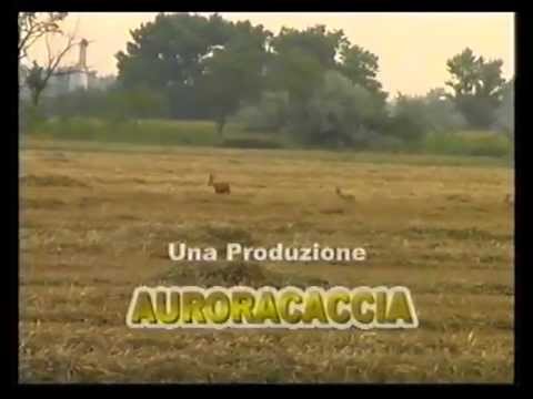 Caccia al Capriolo in Ungheria – 1a Parte