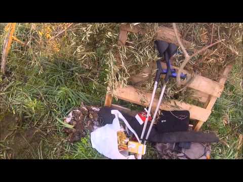 Caccia ai Tordi in Corsica