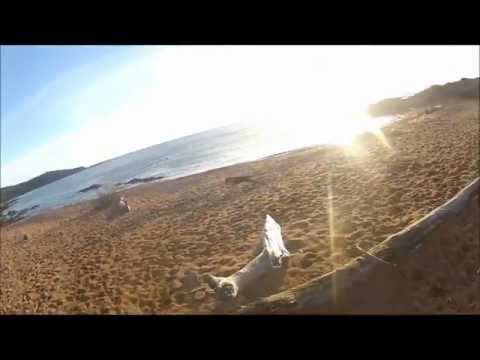 Caccia ai Tordi in Corsica