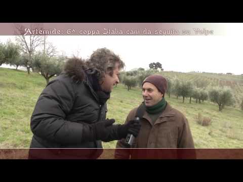Caccia alla Volpe – Coppa Italia