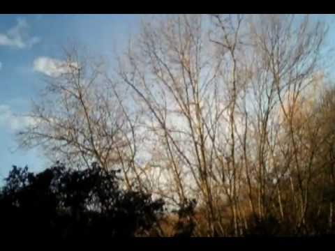 Caccia ai Tordi in Maremma